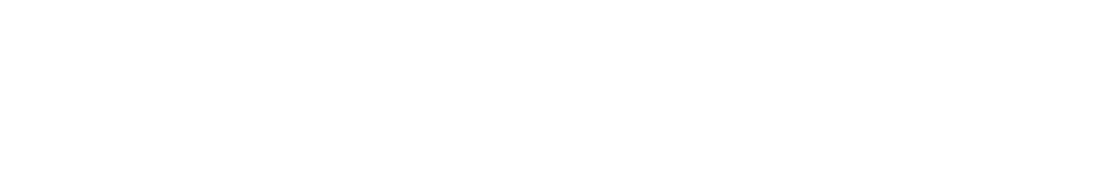 paloalto